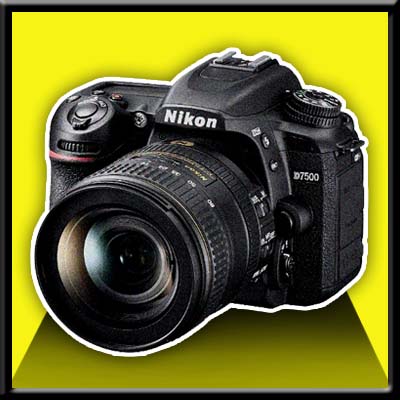 https://nikon-software.com/wp-content/uploads/2019/11/Nikon-D7500-Firmware-Update.jpg
